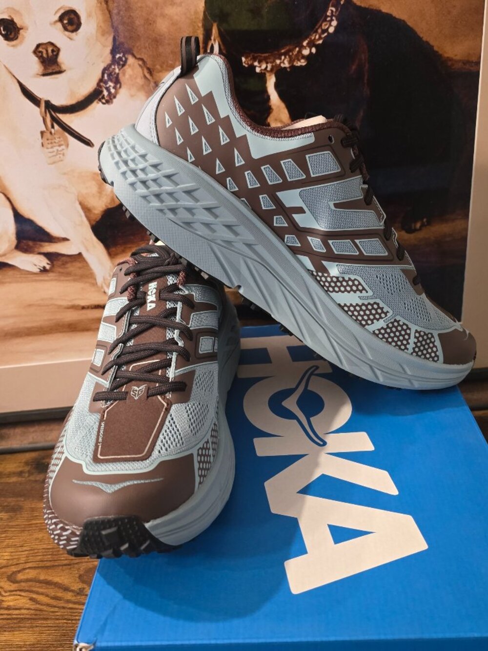 Hoka One One Speedgoat 2 Blue Brown 1162710 DZYC Trail Men’s Size 11.5 Shoes NEW